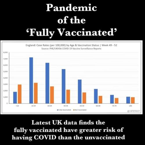 FB_IMG_1641688281580