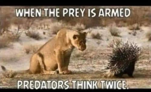 FB_IMG_1642741731007