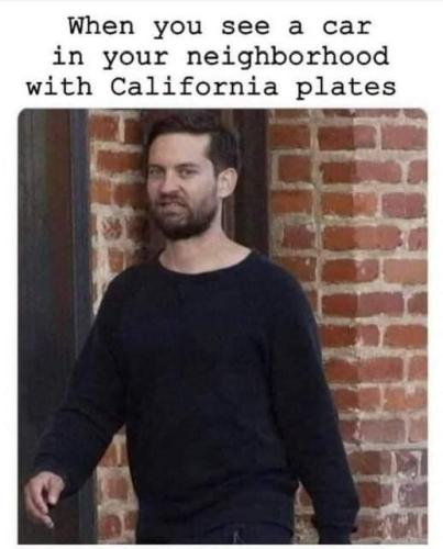 88E6329B-06A5-4A41-AA6D-99788ED09635