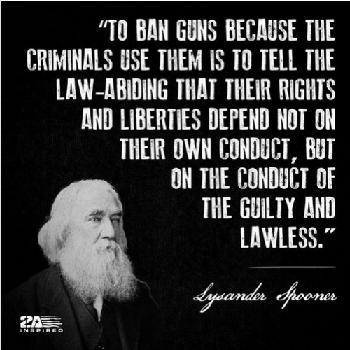 ban guns me