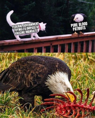 17:13:07 GMT-0600 (CST).image