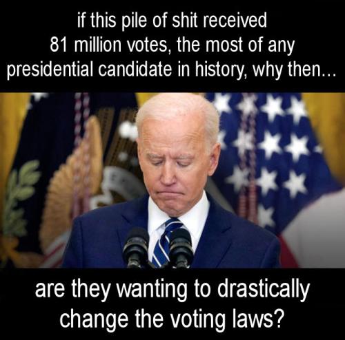 voterfraud267