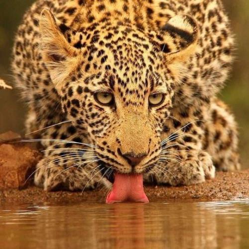 tumblr_5109a1c37d498e288e8a9dd7fa542015_b23601de_540