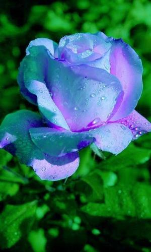 13:20:00 GMT-0600 (CST)