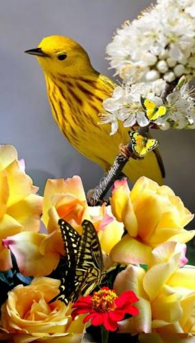 18:16:51 GMT-0600 (CST)