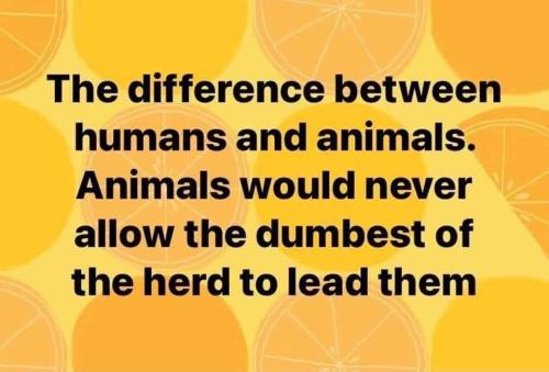 FB_IMG_1642241773085