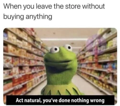 271746580_434944458337875_4792731534227965040_n