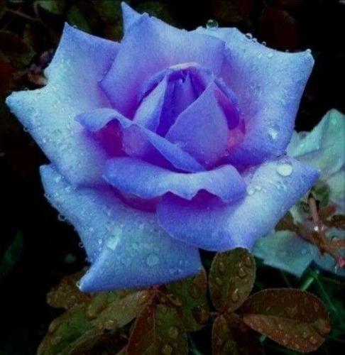 20:38:24 GMT-0600 (CST)