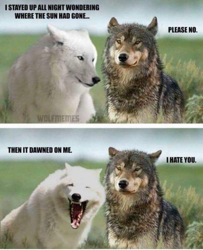 FB_IMG_1635345092536