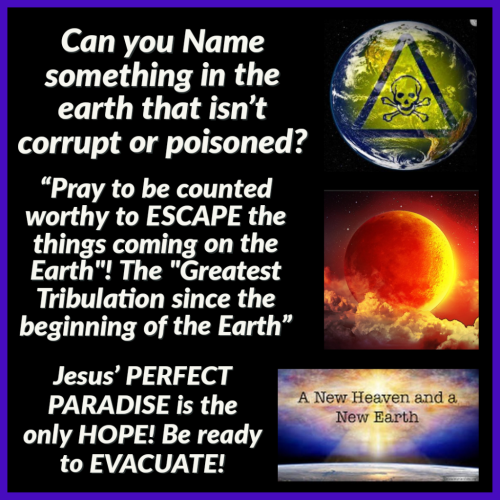 14:25:16 GMT-0500 (EST)