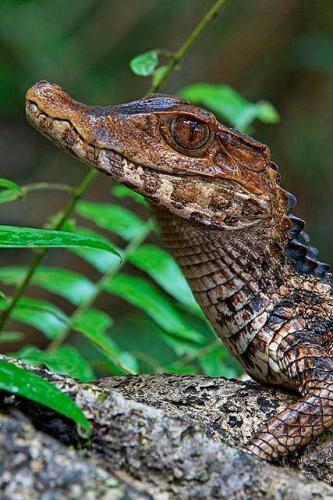 272194000_1749523695246973_7569561702574721885_n