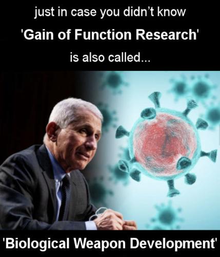 gain of function research00