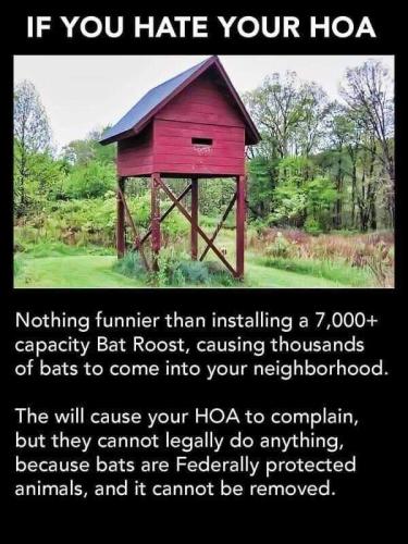 FB_IMG_1642140110445