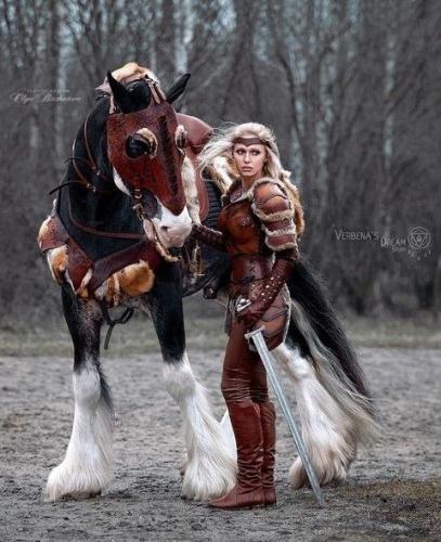 fe598ded15d6ee7083aa6c24a2780e2e