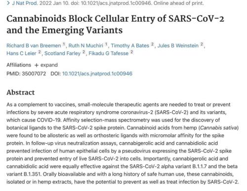 photo_2022-01-12_12-41-27