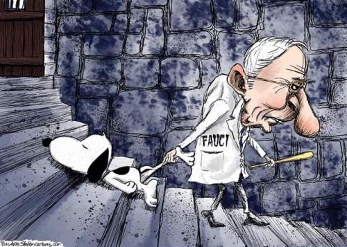 FB_IMG_1642440902931