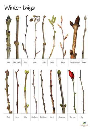 271742418_2221611011330672_4580834667079746079_n