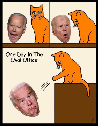 Political - Cat Pushes Joe Head One Day Oval Office 1