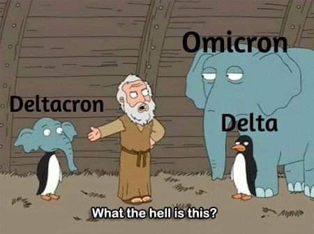 FB_IMG_1642779952585