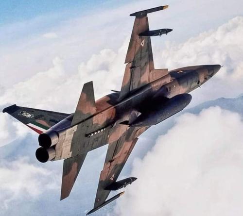 271981852_477154070643626_1663442922827470156_n