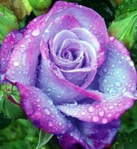 10:21:04 GMT-0600 (CST)