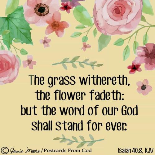 272536586_4960707000616446_8939685195378120678_n