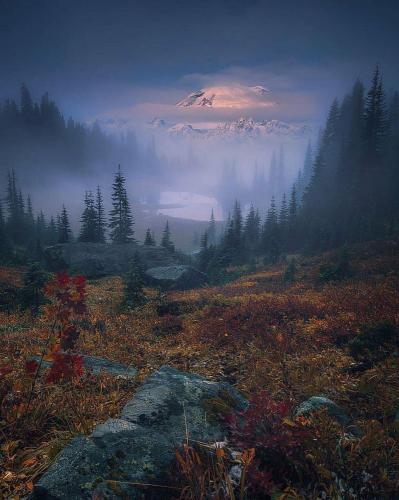 270547015_1741332689399407_8049623921509014204_n