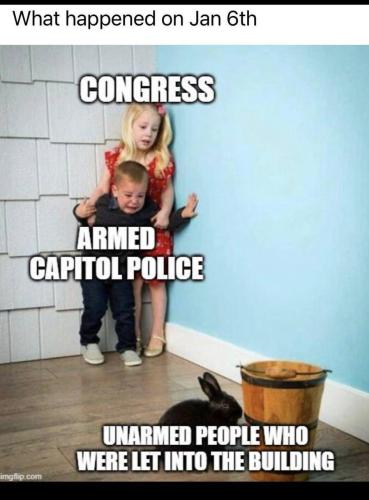 image_1641649697.108