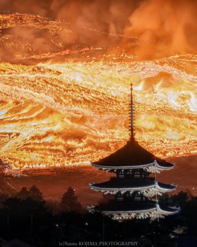 tumblr_d62c664c31e9944e9d98cdde9d5f2441_8da083d5_540