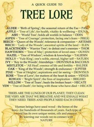 271135834_4921421811236272_7258954923895386164_n