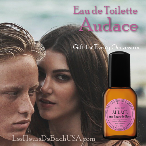 Audace Eau de Toilette Couple Daring Bold 4x4x100 MORE FADE