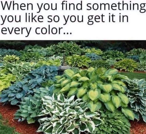 271648948_1751118265092806_961844486970408683_n