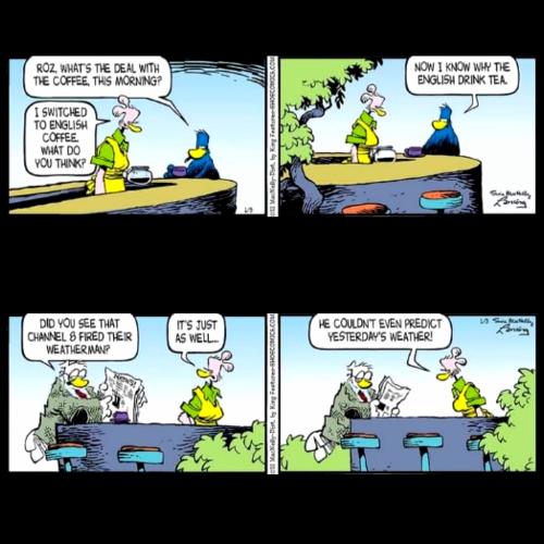 ZomboMeme 05012022082502