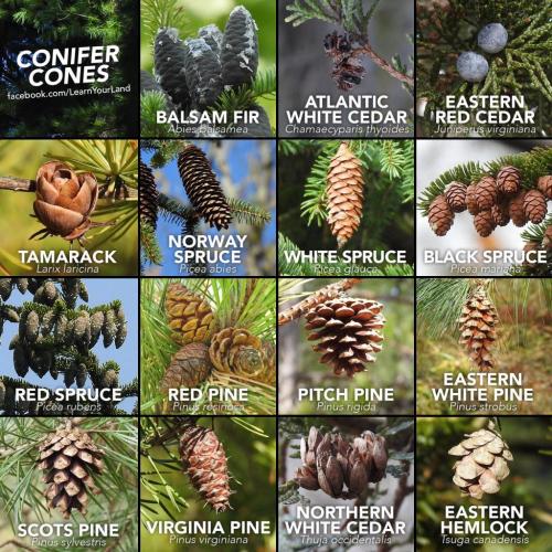 271863152_4745170598864625_522461767125358407_n