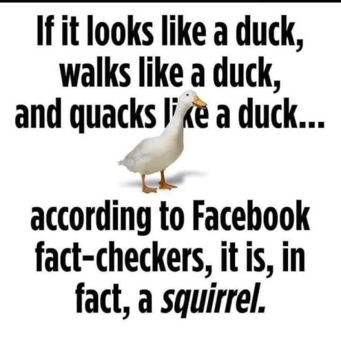 FB_IMG_1642609338799
