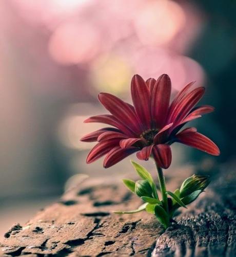 271797707_2738360206309235_1023263997574265267_n