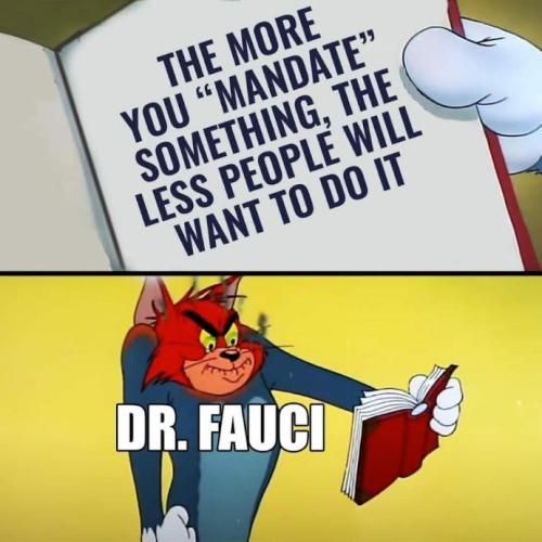 fauci179