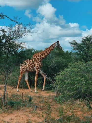 272315232_1748862751979734_4362554767597385472_n