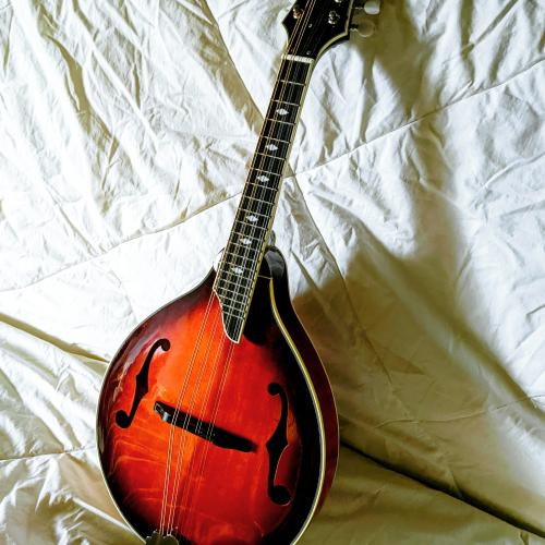 IMG_20220122_084254_848