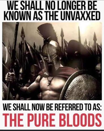 09:46:25 GMT-0700 (MST)