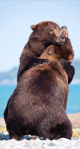 tumblr_4f3d0d4e6fef3adc8f7fa2a9e793372d_1d8661f8_1280