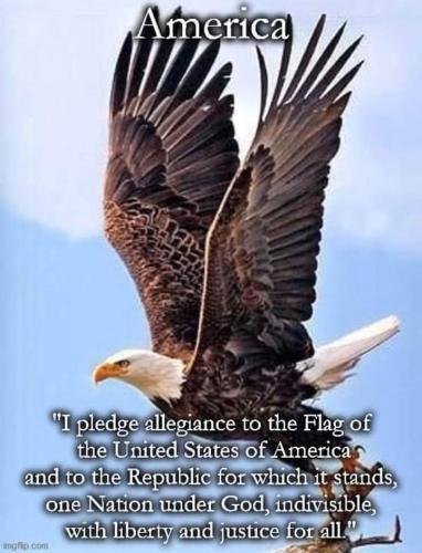 tiny-299-2021-06-23-19-02-21