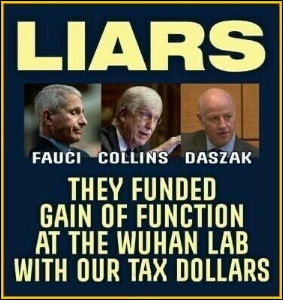 liars08