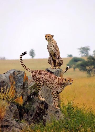 271175607_1735335246665818_6128598580478850186_n