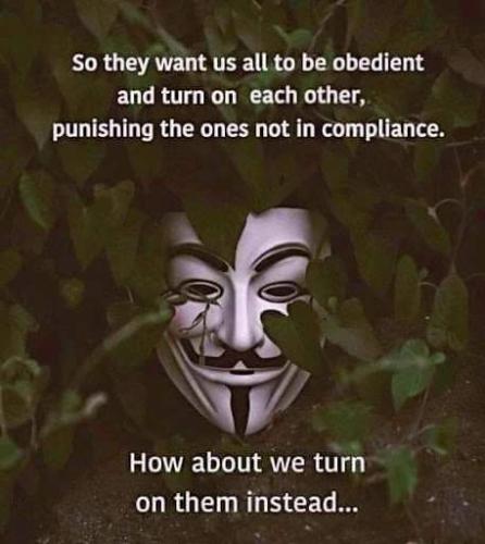 FB_IMG_1643574038174