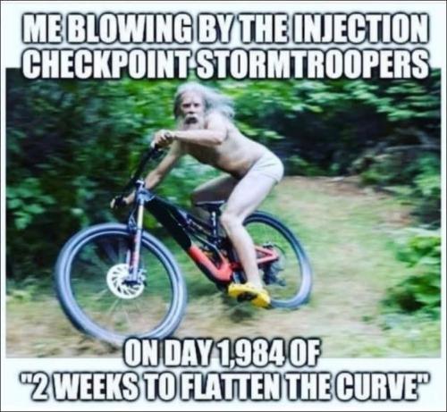 flatten the curve15
