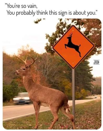 FB_IMG_1640806593600