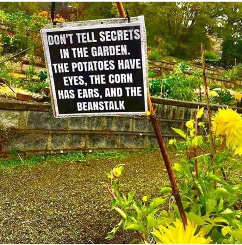 271736511_5034798179871858_1380345875015117482_n