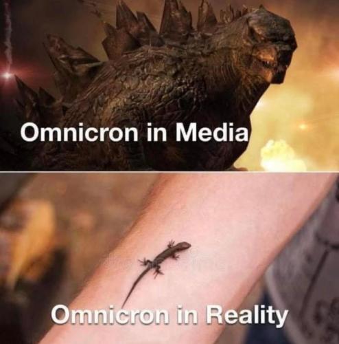 omicron33