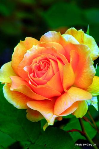 18:07:24 GMT-0600 (CST)